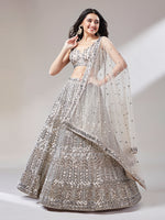 beige net lehenga with mirror embroidery