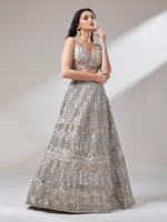 beige net lehenga with mirror embroidery