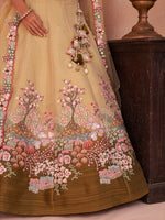 elegant olive ombre bridal lehenga choli