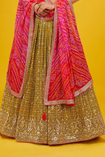 Olive Pink Georgette Printed Lehenga Choli