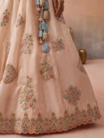 peach embroidered tissue lehenga for women wedding outfit