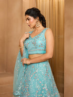 seagreen traditional net lehenga choli with dupatta